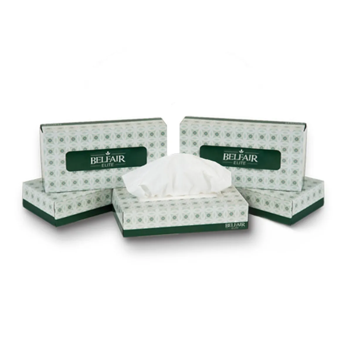 Belfair Elie® 2-Ply Facial Tissues (96 Sheet Boxes) - Case of 30