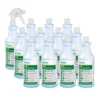 Bright Solutions 'X-It' Mold & Mildew Stain Remover (32 oz Spray Bottles) - Case of 12