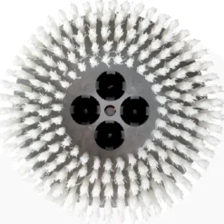 Cimex CR48CM 8" White Soft Nylon Carpet Scrubbing Brushes - Pack of 3
