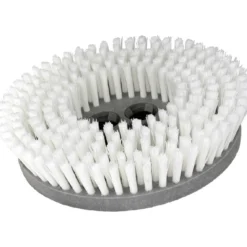 Cimex CR48CM 8" White Soft Nylon Carpet Scrubbing Brushes - Pack of 3