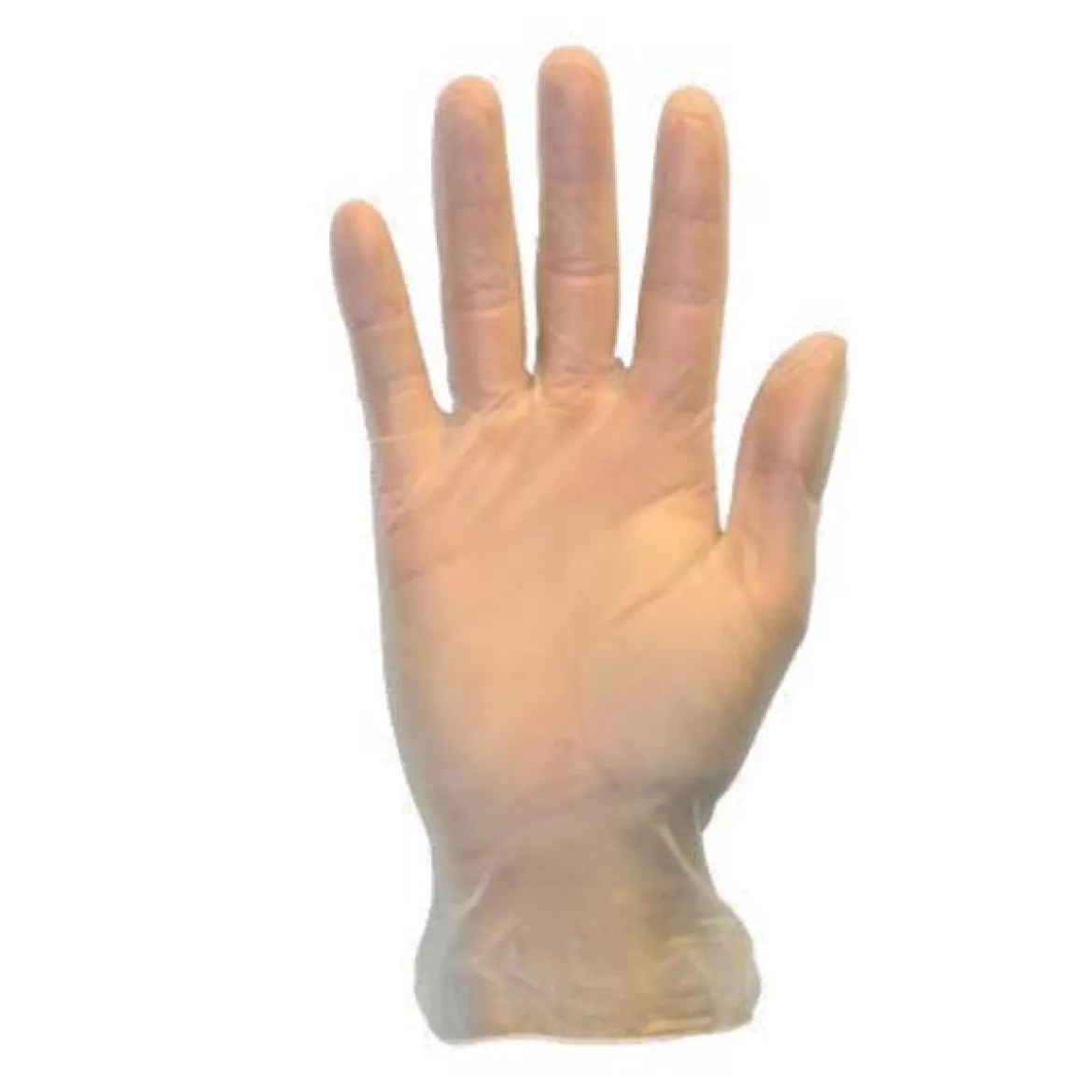 Safety Zone® 3.6 Mil Clear Disposable Vinyl Powdered Gloves (S - XL Sizes Available) - Case of 1000